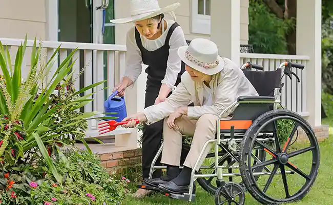 Cleaning and Gardening